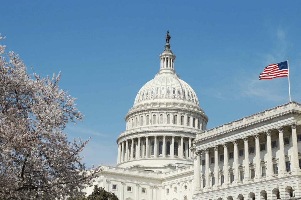 Us Tender Search - Open Opportunities US tender search